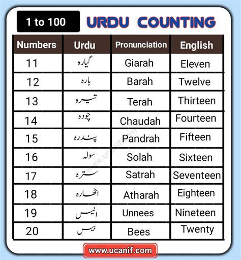 even number in urdu|Urdu Vocabulary .